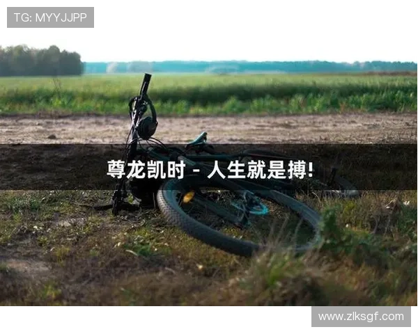 探索尊龙凯时官方的魅力，体验不一样的线上娱乐世界